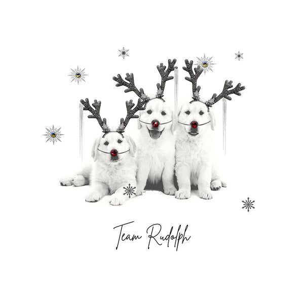 Team Rudolph