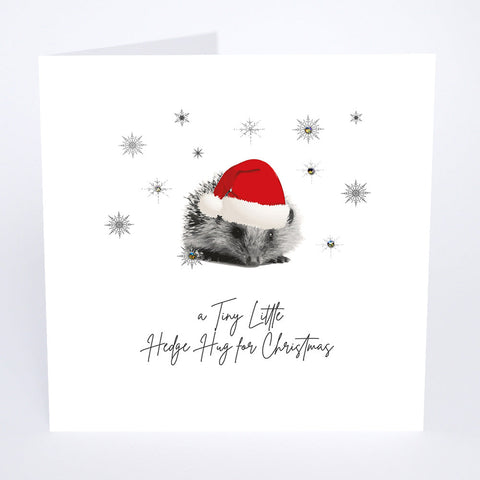 A Tiny Little Hedge Hug for Christmas