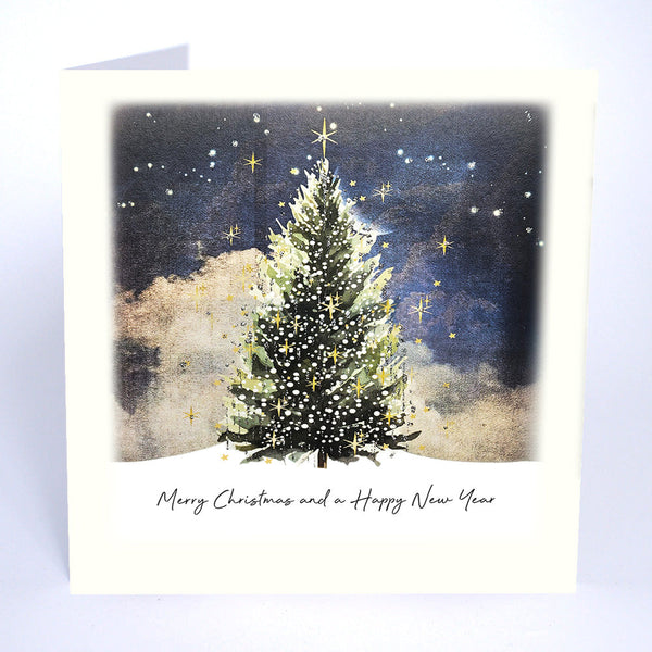 Merry Christmas and a Happy New Year