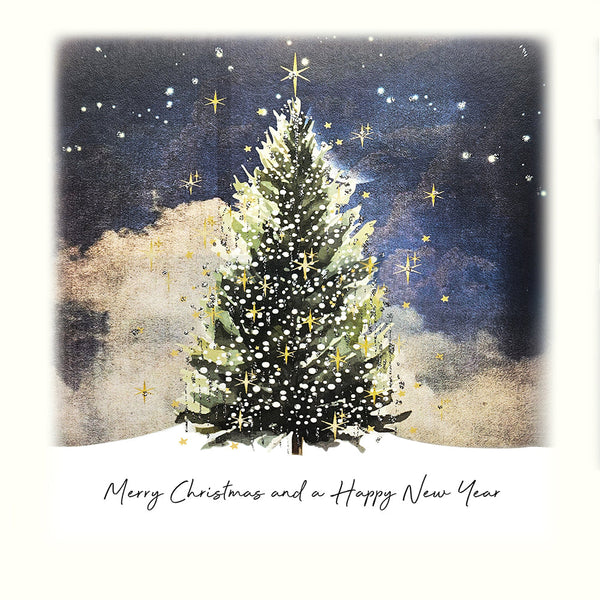Merry Christmas and a Happy New Year