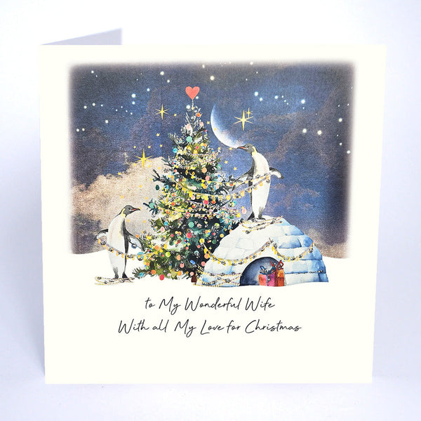 To My Wonderful Wife With All My Love for Christmas