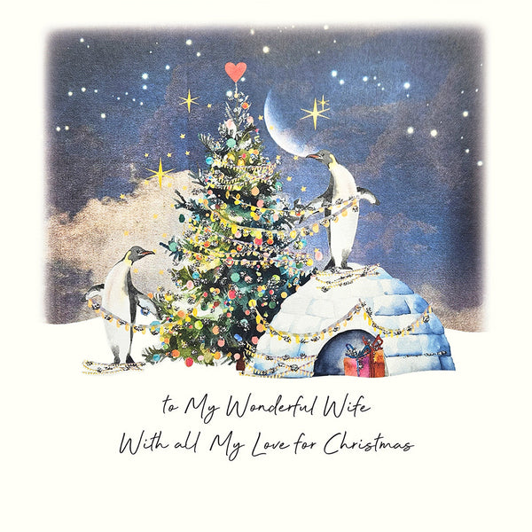 To My Wonderful Wife With All My Love for Christmas