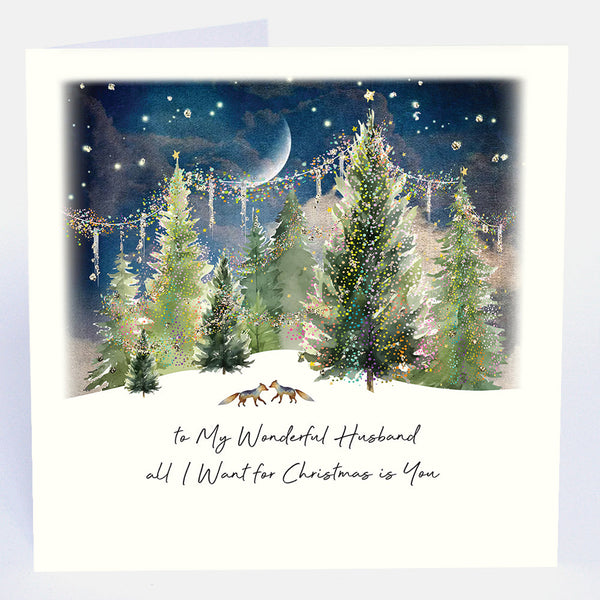To My Wonderful Husband All I Want for Christmas is You