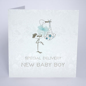 Special Delivery New Baby Boy