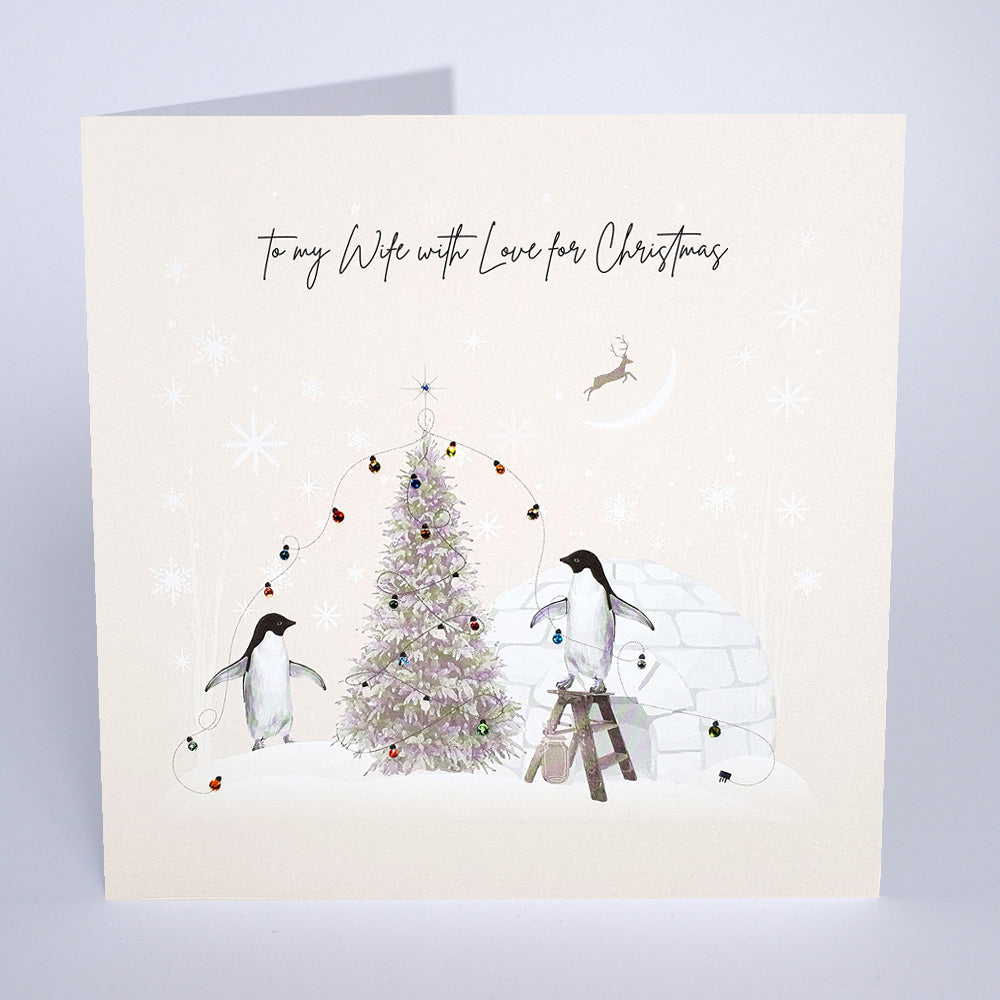 To my Wife With Love for Christmas