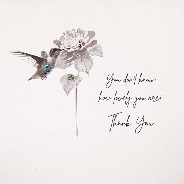 You Don't Know How Lovely You Are - Thank You