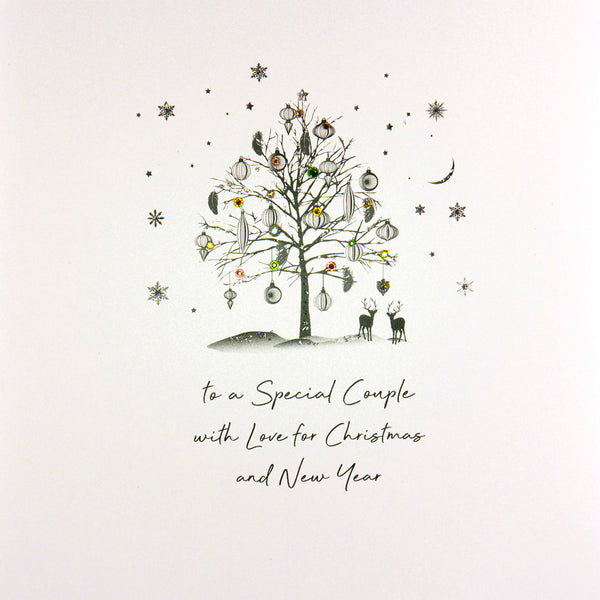 To a Special Couple with love for Christmas