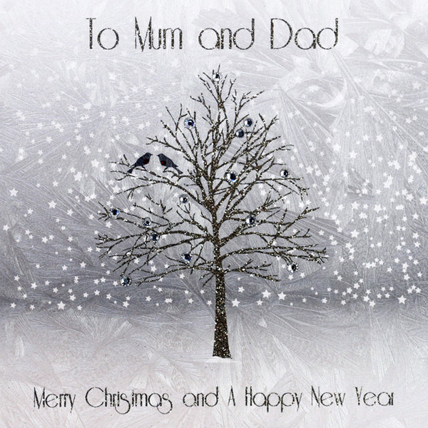 To Mum & Dad Merry Christmas & a Happy New Year