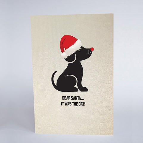 Dear Santa It was the Cat!