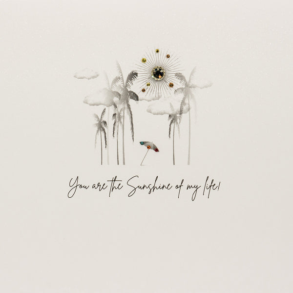 You Are The Sunshine Of My Life (Options Available)