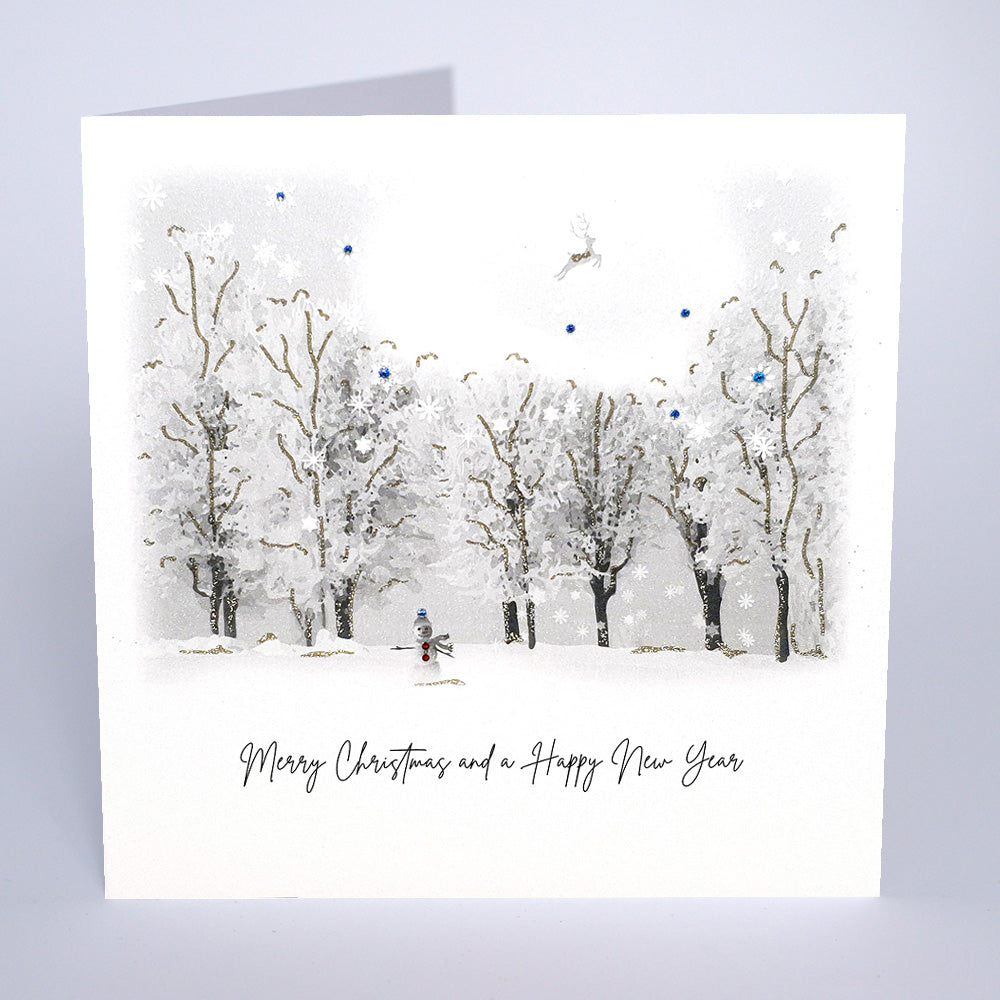 Merry Christmas & a Happy New Year (Snowman)