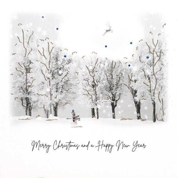 Merry Christmas & a Happy New Year (Snowman)