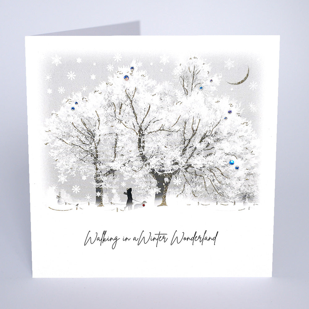 Walking in a Winter Wonderland