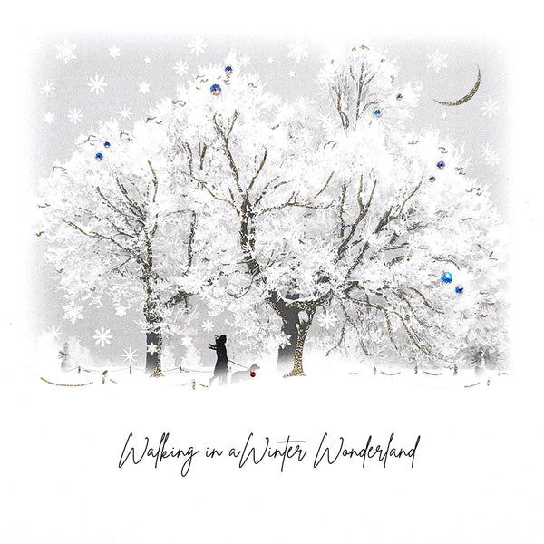 Walking in a Winter Wonderland