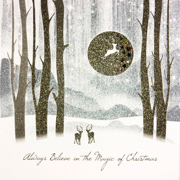 Have A Magical Christmas