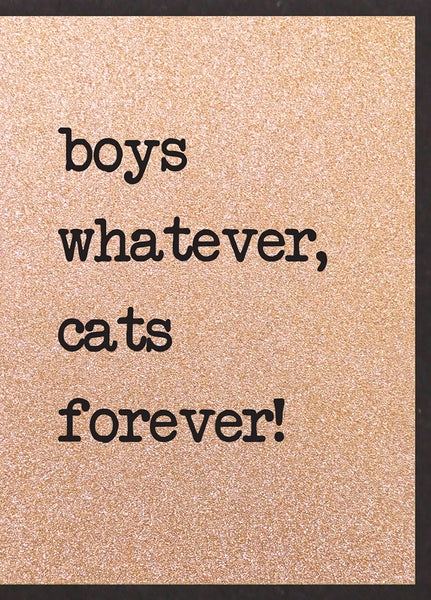 Boys Whatever, Cats Forever!