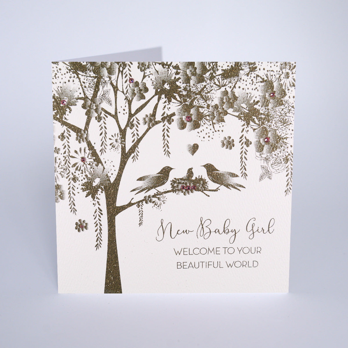 New Baby Girl - Welcome To Your Beautiful World