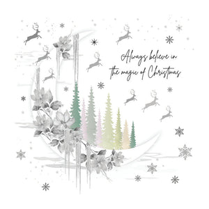 Always Believe In The Magic Of Christmas