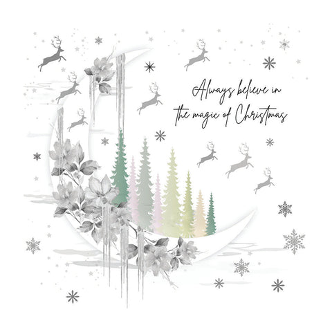 Always Believe In The Magic Of Christmas