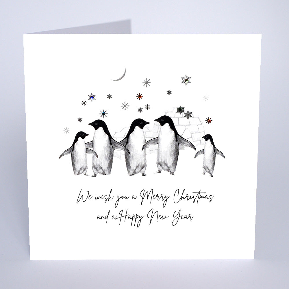 We wish you a Merry Christmas and a Happy New Year