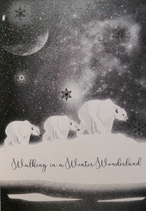 Walking In a Winter Wonderland
