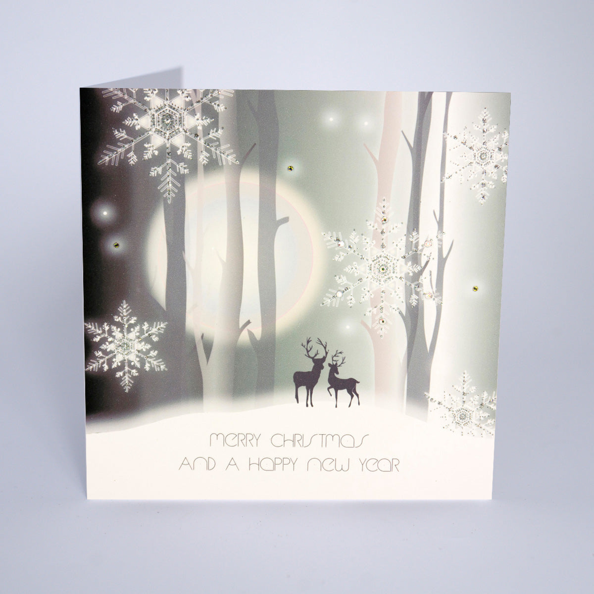 Merry Christmas And A Happy New Year